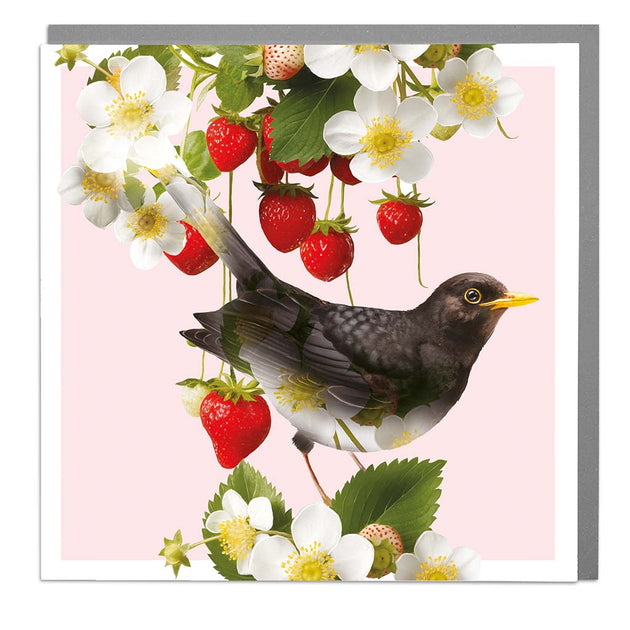 Birds, Blossom & Berries - Password Book – Otter House