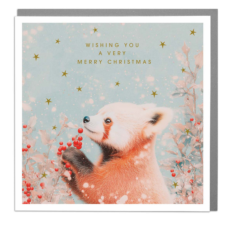 Red Panda - Merry Christmas Card by Lola Design