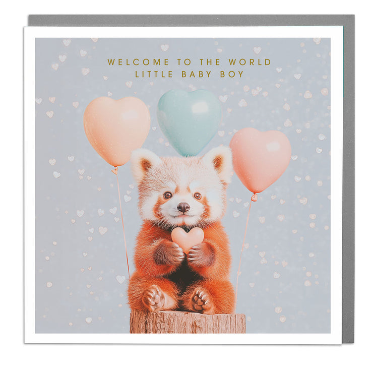 Red Panda New Baby Boy Card by Lola Design