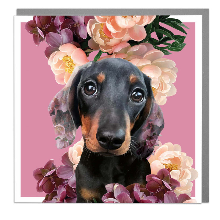 Sausage Dog Blank Art Card by Lola Design