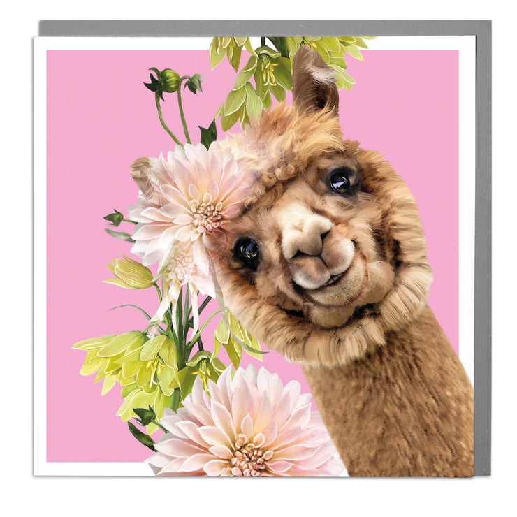 Alpaca Blank Art Card by Lola Design