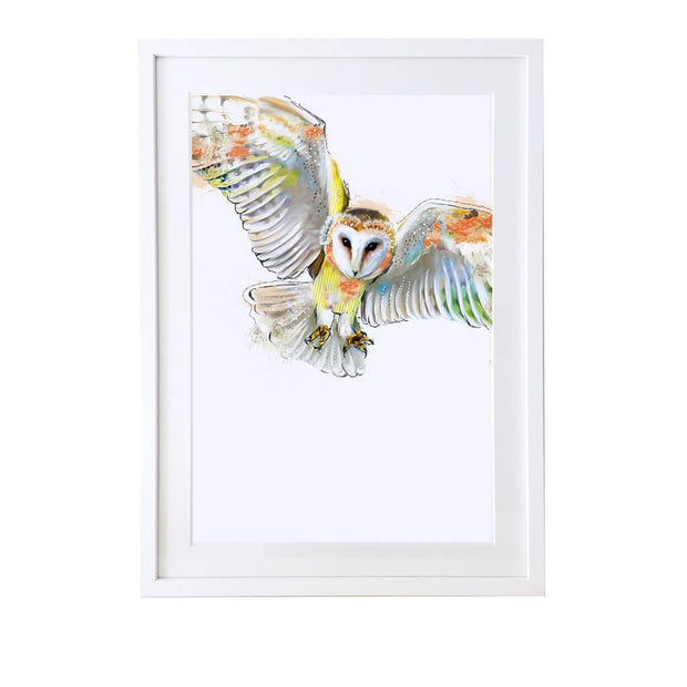 Barn Owl Print - Lola Design Ltd