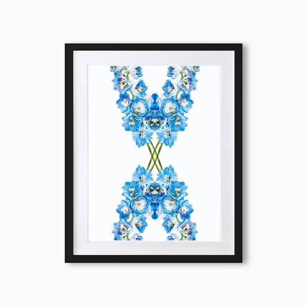 Delphiniums Botanique (Pattern) Art Print - Lola Design Ltd