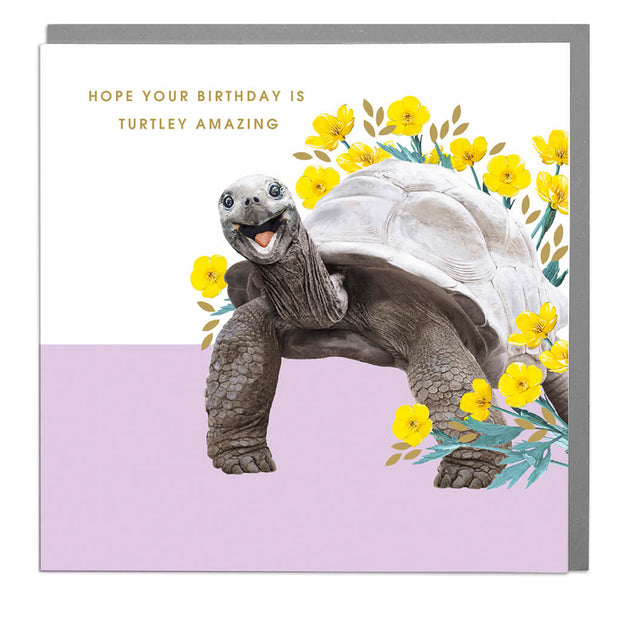 Giant Turtle Birthday Card - Lola Design Ltd