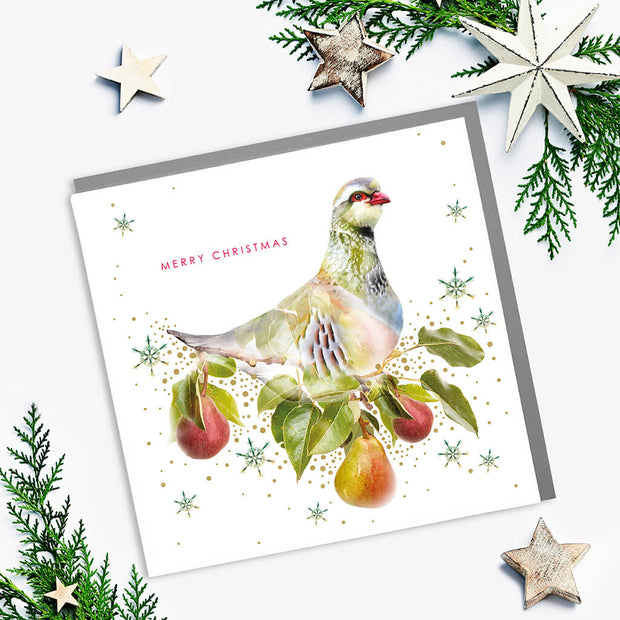 Partridge Merry Christmas Card - Lola Design Ltd