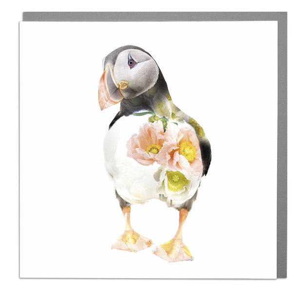 Puffin Card by Lola Design - Lola Design Ltd