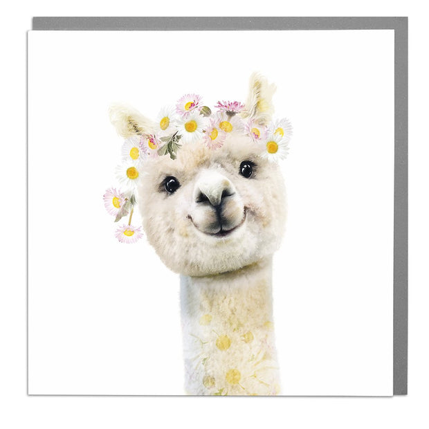 Alpacca Card by Lola Design - Lola Design Ltd