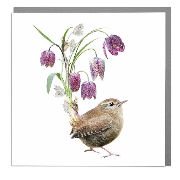 animal card, lola design cards, wren bird,  greeting card,  birthday card, Wren, Art Cards,  bird greeting card,  blank card,  thank you card