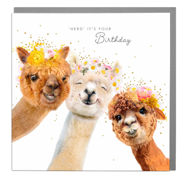 Heard Its Your Birthday Happy Birthday Alpaca Greeting Card By Lola Design Lola Design Ltd