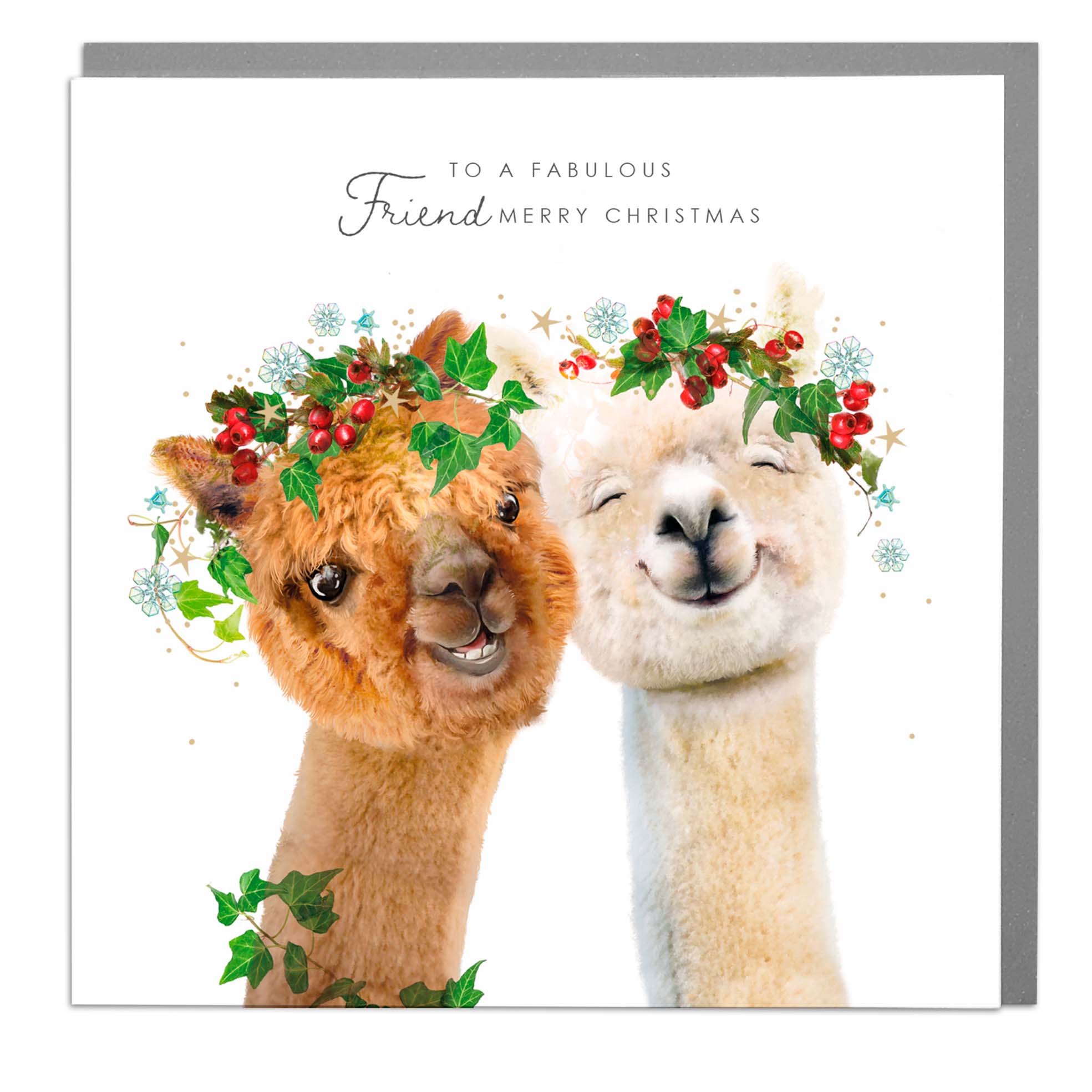 Fabulous Friends at Christmas Alpaca Happy Christmas card by Lola Design