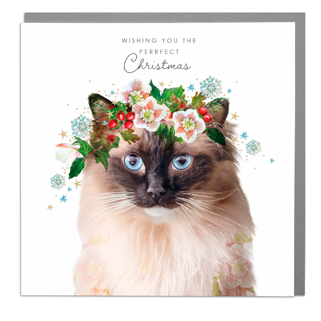 Happy Christmas Cat card Lola Design Ltd