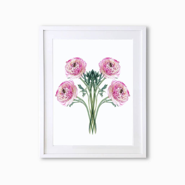 Ranunculus (Pattern) Art Print - Lola Design Ltd