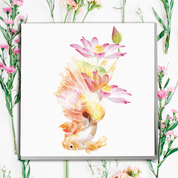 Japanese Fighting Fish Card - Lola Design Ltd